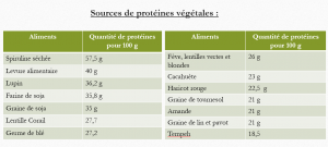 Sources protéines végétales tableau