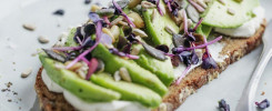 Avocado Toast Healthy