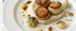 Noix de saint jacques purée de châtaigne source photo Fourchette et Bikini