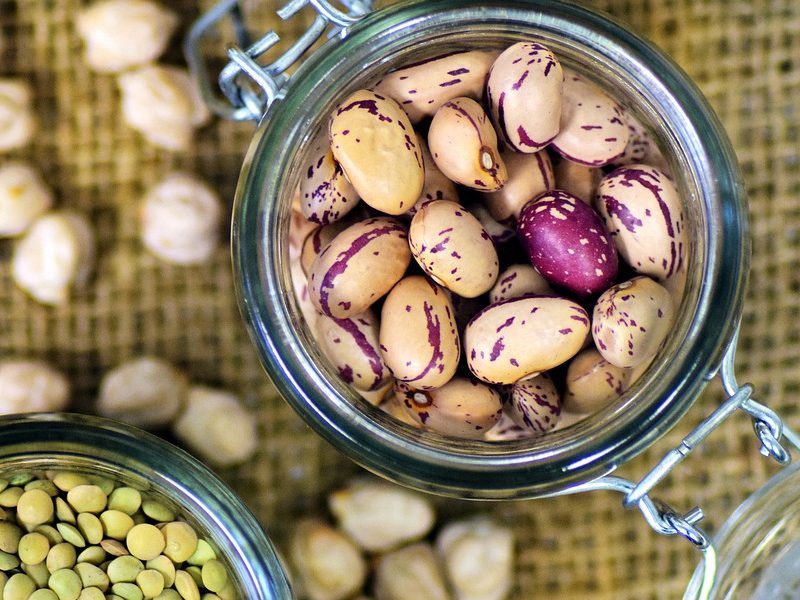 différentes sources de légumineuses