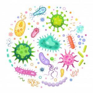 ensemble micro-organisme microbiote